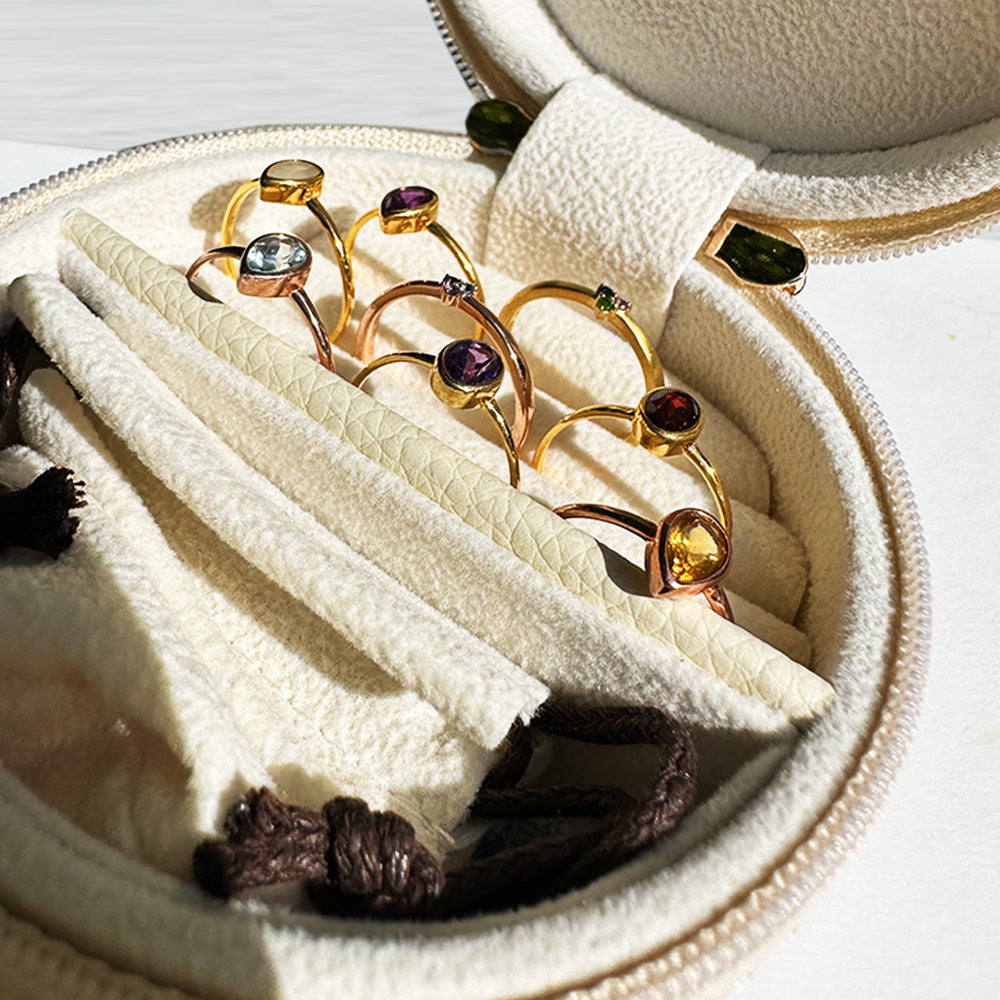 CADNI Jewelry case